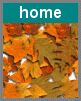click to the home page