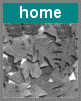 click to the home page